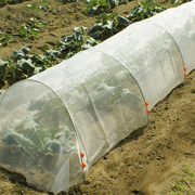 3 x 10M Garden Net Protection Plant Netting by salelink.co.nz