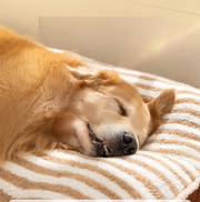 120cm Dog Bed Pet Mattress Warm Thick Washable XL by dealonline.co.nz