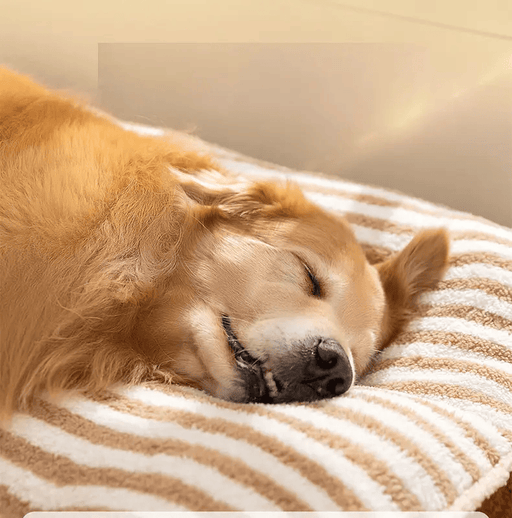 120cm Dog Bed Pet Mattress Warm Thick Washable XL by dealonline.co.nz
