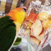 Bird Parrot Feeder by salelink.co.nz