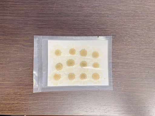Real Dried Flower - Chrysanthemum by Resin Art NZ