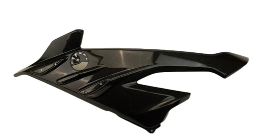S1000RR 2023+ (Large Side Panels) Dry Carbon by CARBONISE