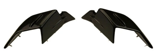 S1000RR 2023+ (Winglets ) Dry Carbon by CARBONISE