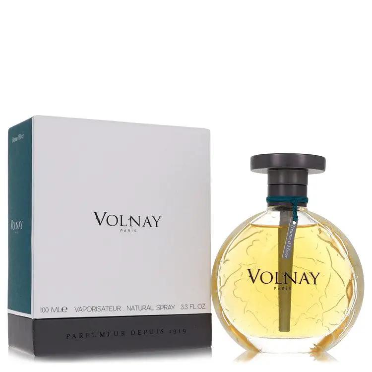 Brume Dhiver Eau DE Parfum Spray (Unisex) by Volnay 100 ml by Brands HD