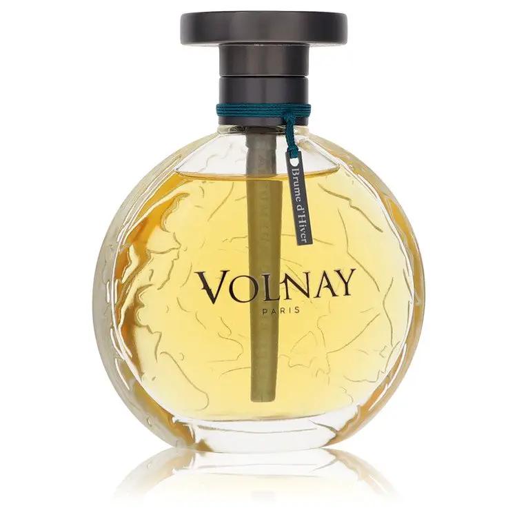 Brume Dhiver Eau DE Parfum Spray (Unisex unboxed) by Volnay 100 ml by Brands HD