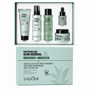 Poppy Gifts Skin Care Sadoer Salicylic Acid Niacinamide Tea Tree Anti Blemish Skincare 5 Piece Set Sadoer Salicylic Acid Niacinamide Tea Tree Set
