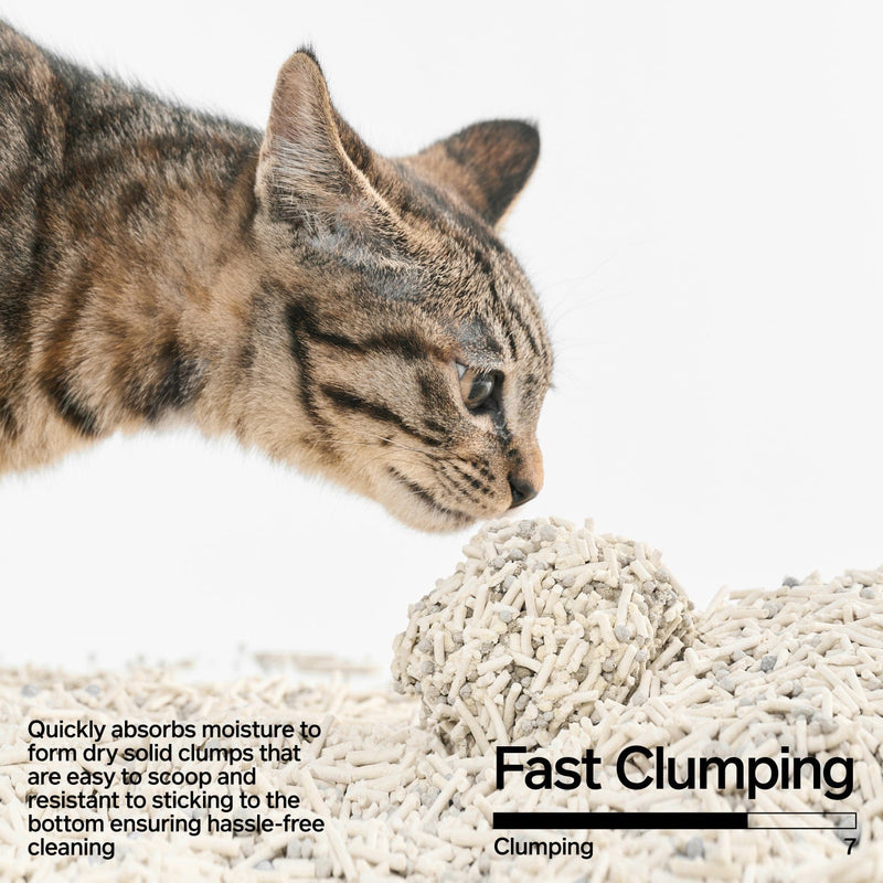 Pidan New Zealand Cat Litter PIDAN Signature Tofu Blend Cat Litter With Fast Clumping And Low Dust Pidan Signature Tofu Blend Cat Litter Low Dust