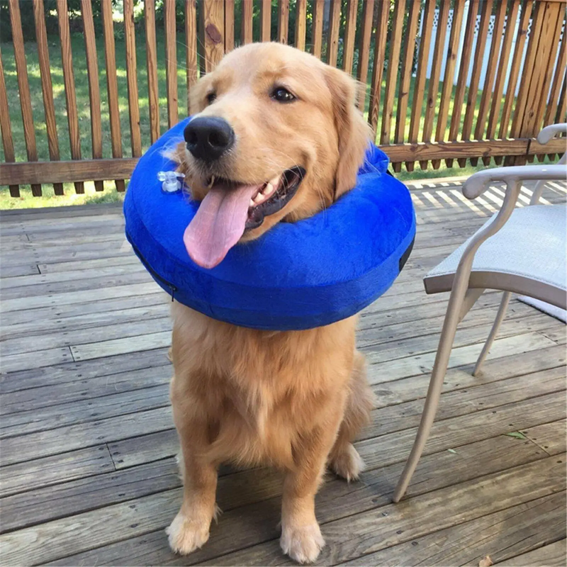Dog Inflatable Collar XL by salelink.co.nz