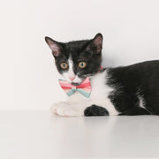 Pidan New Zealand Fashion Pidan Cat Bow Tie Collar With Breakaway Safety Buckle And Adjustable Fit Pidan Cat Bow Tie Collar With Breakaway Buckle