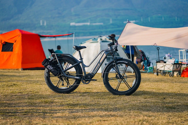 Kiwi eRide Kiwi eRide FIIDO Titan Electric Bike Fat Tire Touring E-bike FIIDO Titan Electric Bike Fat Tire Touring E-bike