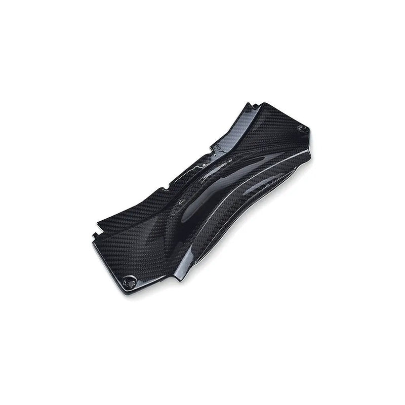 YAMAHA R3 (Rear Tail Brake Light Cover) Dry Carbon