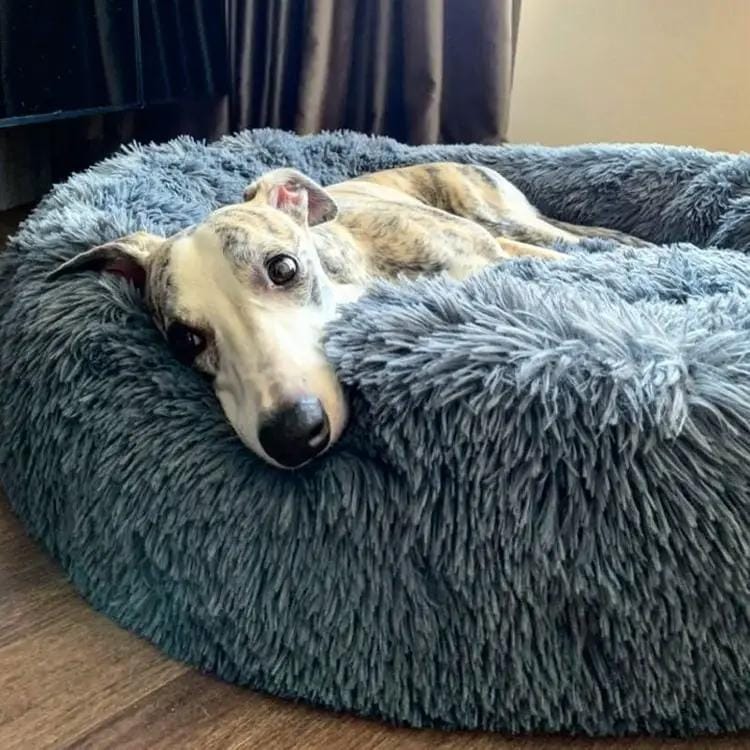 The Brooklyn Dog Beds Brooklyn® Deep Sleep Pet Bed Brooklyn Deep Sleep Calming Donut Dog Bed