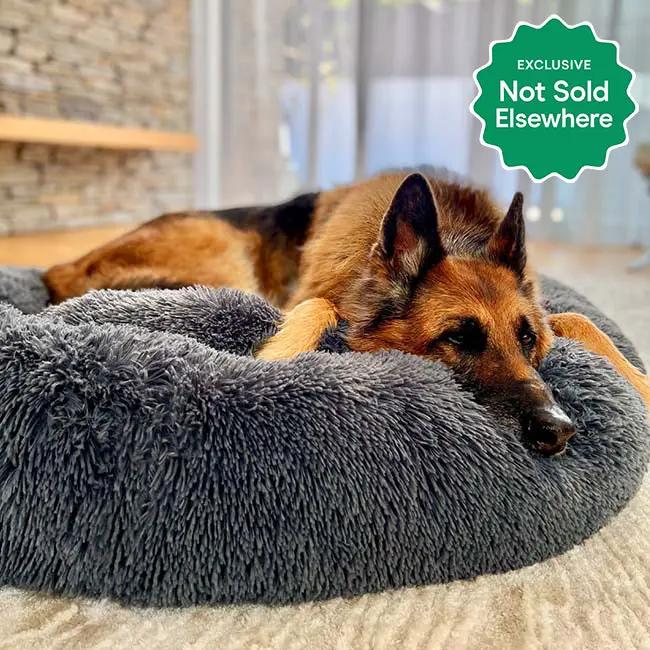 Brooklyn® Deep Sleep Pet Bed by The Brooklyn