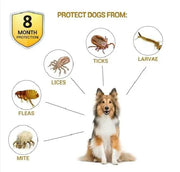 g8buynz Flea and Tick Collar Flea and Tick Collar