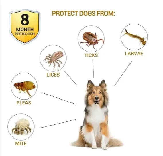 g8buynz Flea and Tick Collar Flea and Tick Collar
