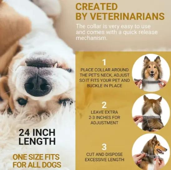 g8buynz Flea and Tick Collar Flea and Tick Collar