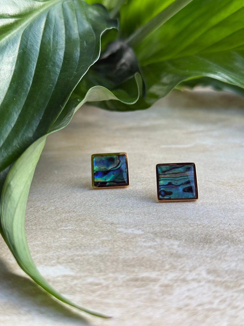 Tapawhā Pāua Gold Earrings by Tahana Jewellery