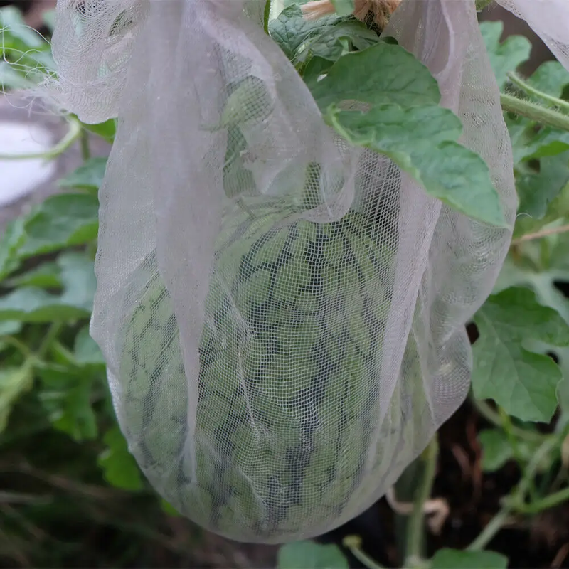 3 x 10M Garden Net Protection Plant Netting by salelink.co.nz