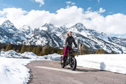 Kiwi eRide Kiwi eRide Fiido T2 Longtail Cargo E-bike Grey Fiido T2 Longtail Cargo E-bike Grey