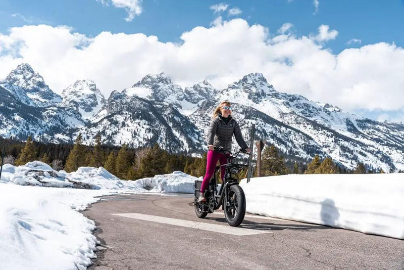 Kiwi eRide Kiwi eRide Fiido T2 Longtail Cargo E-bike Grey Fiido T2 Longtail Cargo E-bike Grey