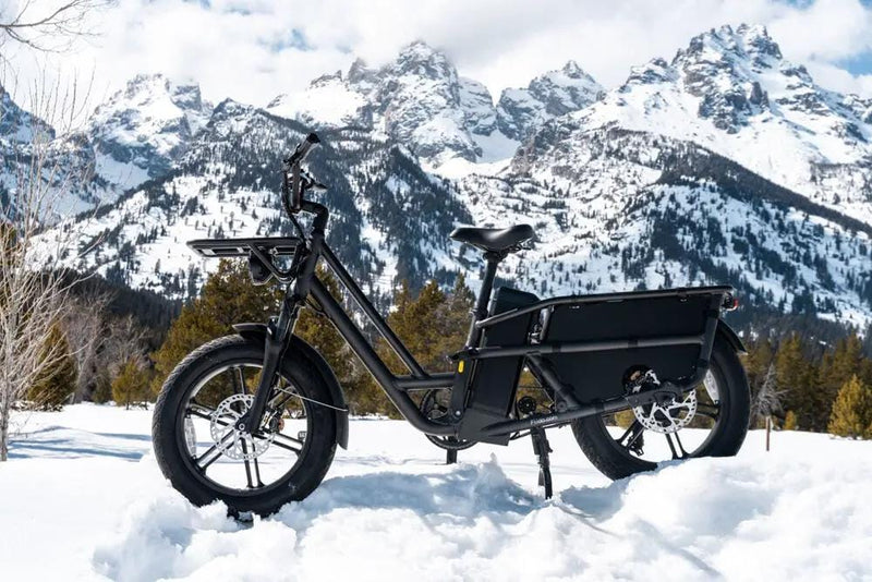 Kiwi eRide Kiwi eRide Fiido T2 Longtail Cargo E-bike Grey Fiido T2 Longtail Cargo E-bike Grey