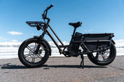 Kiwi eRide Kiwi eRide Fiido T2 Longtail Cargo E-bike Grey Fiido T2 Longtail Cargo E-bike Grey