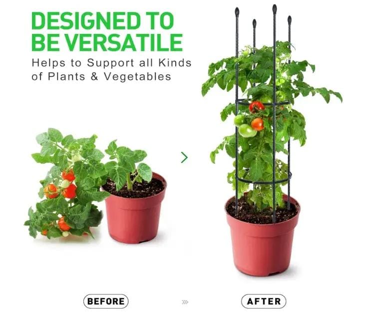 g8buynz Garden Trellis Tomato Cage Tall Plant Support Climbing Vines Flowers Stands Garden Trellis Tomato Cage Tall Plant Support Climbing Vines Flowers Stands