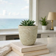 Frankly Cotton Textured Marble Ceramic Pot by Nest & Stem Homewares