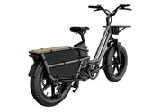Kiwi eRide Kiwi eRide Fiido T2 Longtail Cargo E-bike Grey Fiido T2 Longtail Cargo E-bike Grey