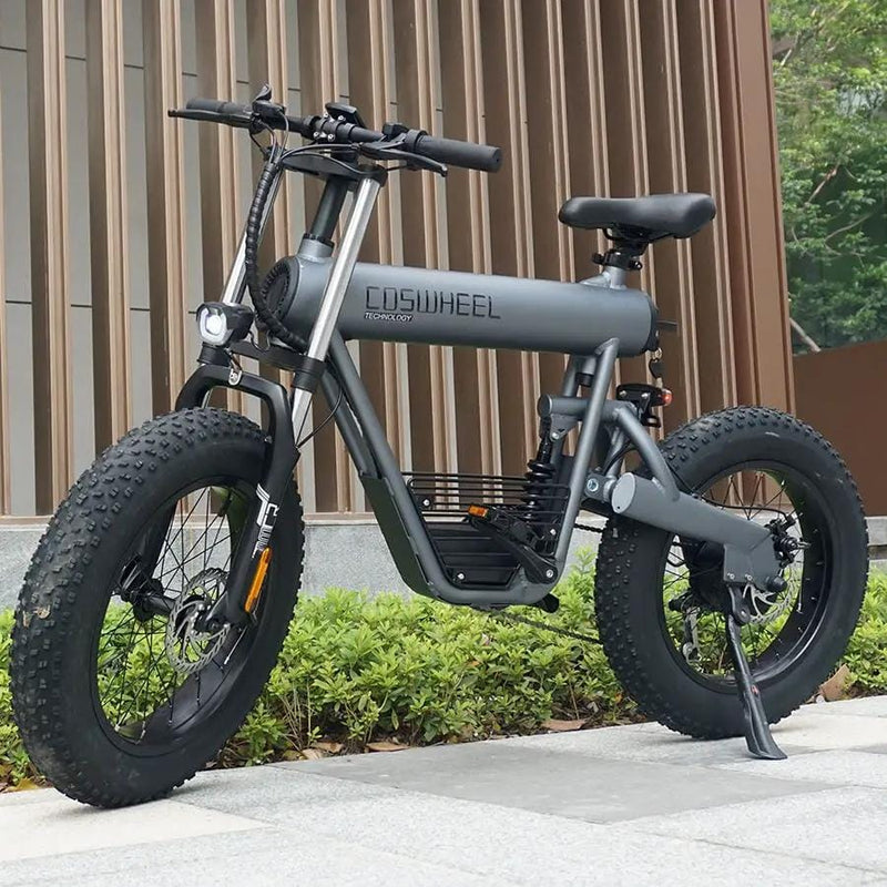 Kiwi eRide Kiwi Hoverboard Coswheel T20 20AH E bike Coswheel T20 20AH E bike
