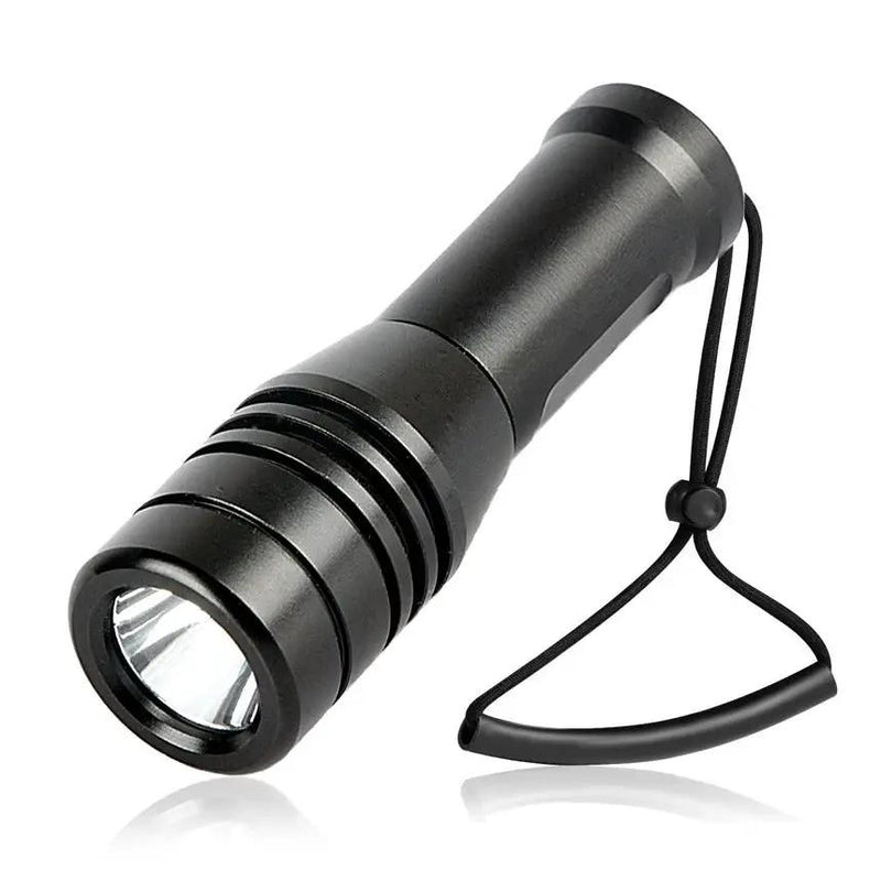 BrightBuddy Micro 80 – Compact Dive Torch including Mask Mount by NZ Diver