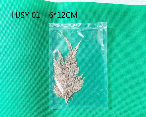 Real Dried Leaves - Sealed in Pocket Pack by Resin Art NZ