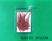 Real Dried Leaves - Sealed in Pocket Pack by Resin Art NZ