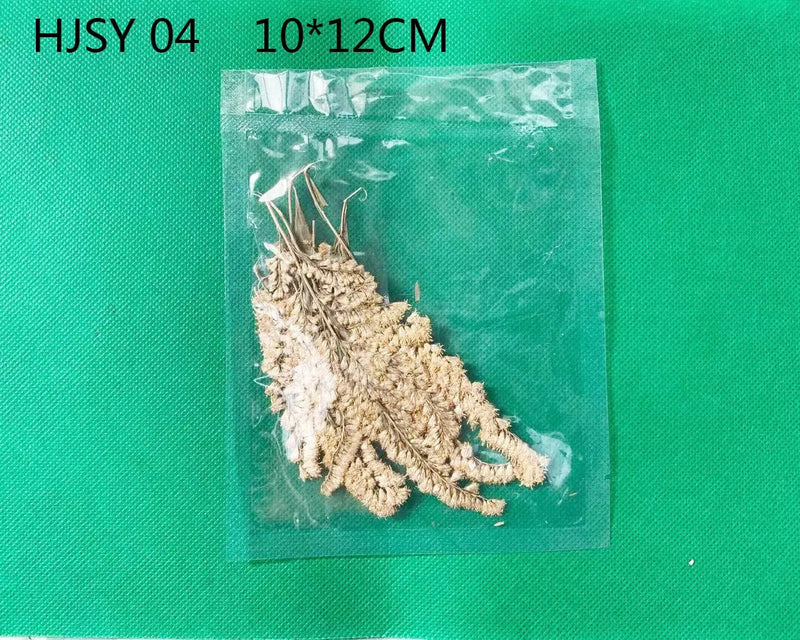 Real Dried Leaves - Sealed in Pocket Pack by Resin Art NZ