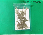 Real Dried Leaves - Sealed in Pocket Pack by Resin Art NZ