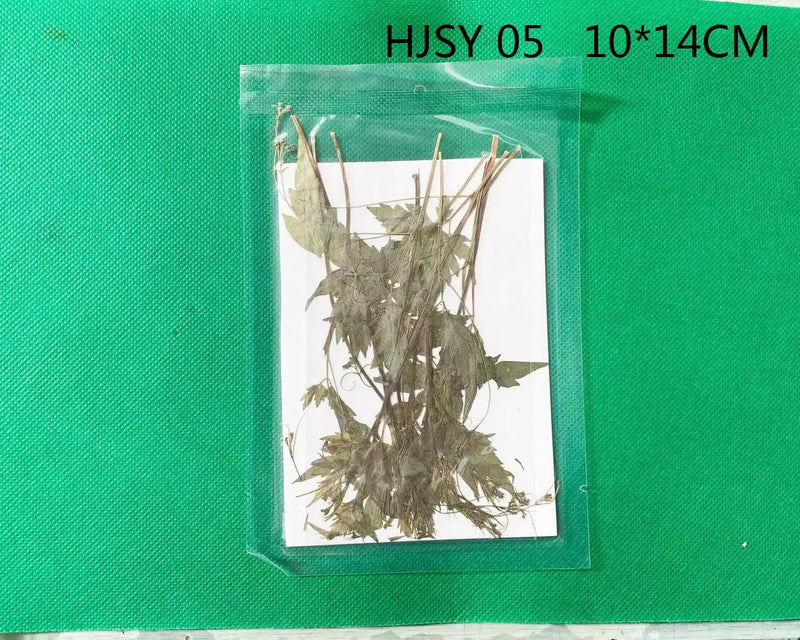 Real Dried Leaves - Sealed in Pocket Pack by Resin Art NZ