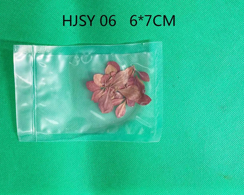 Real Dried Leaves - Sealed in Pocket Pack by Resin Art NZ