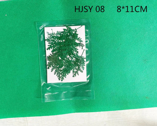 Real Dried Leaves - Sealed in Pocket Pack by Resin Art NZ