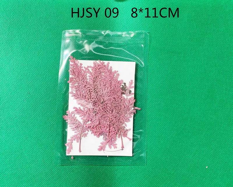 Real Dried Leaves - Sealed in Pocket Pack by Resin Art NZ