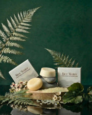 NaturalCare Rice Water Hair Shampoo & Conditioner Combo Rice Water Shampoo and Conditioner Set by NaturalCare