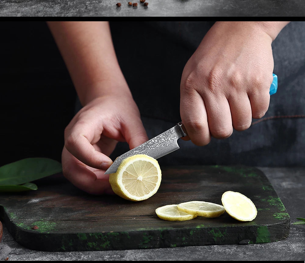 XITUO Damascus Knife Set Kitchen Knife Damascus Steel VG10 Chef Knife Santoku Knives Japanese Knife Home kitchen tools best gift - Action Outdoors Kiwi