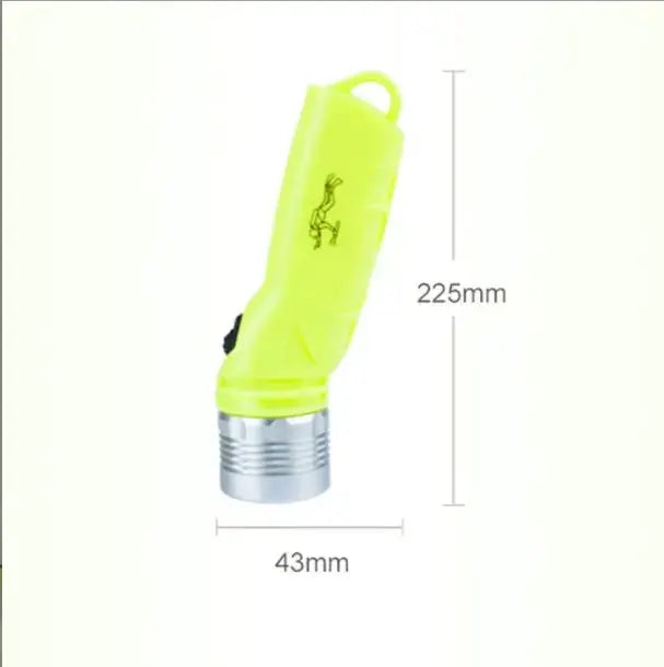 Diving Flashlight by NZ Diver