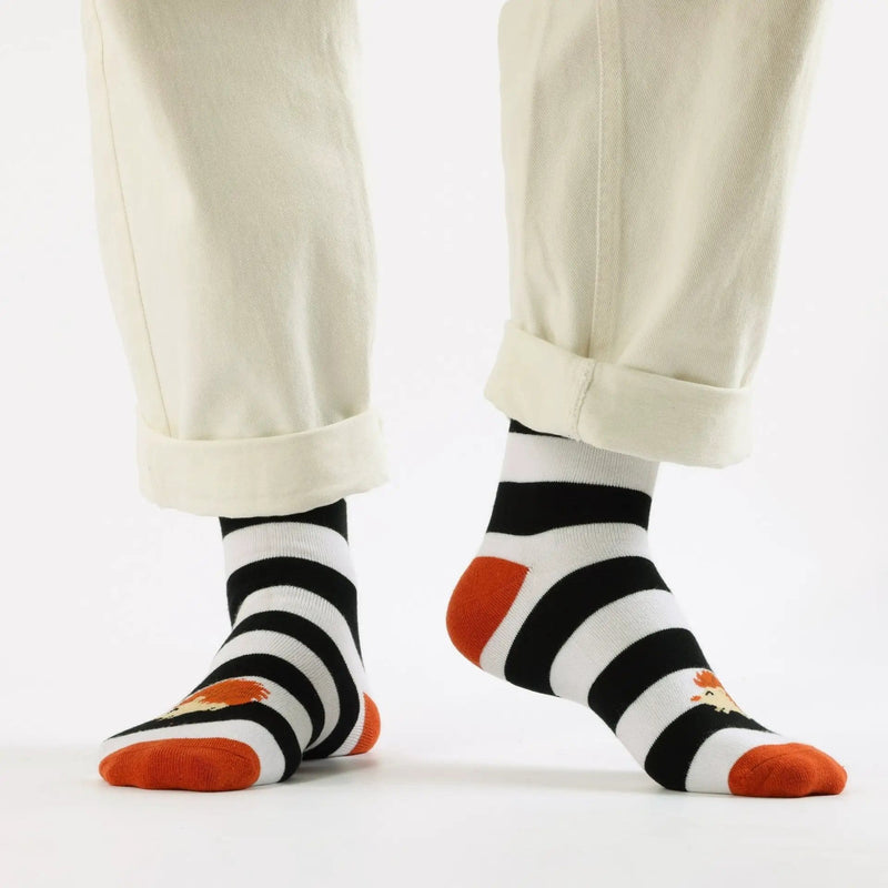 Barekind NZ Socks Save the Striped Hedgehog Bamboo Socks Save the Striped Hedgehog Bamboo Socks