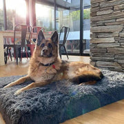 Brooklyn® Ultra Memory Foam Bed by The Brooklyn