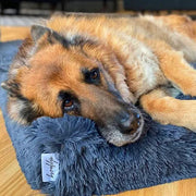 Brooklyn® Ultra Memory Foam Bed by The Brooklyn