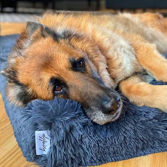 Brooklyn® Ultra Memory Foam Bed by The Brooklyn