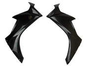 CBR1000RR 2017+ (Large Side Panels) Dry Carbon by CARBONISE