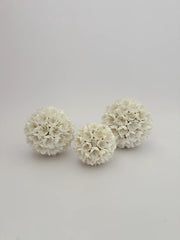 Inkah Limited White Shell Ball Decor Set Small Medium Large Coastal Accent White Shell Ball Decor Set Coastal Orbs Small Medium Large