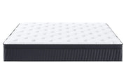 Abbotts Pocket Spring mattress with Tencel Fabric Queen Size by sue-e furniture