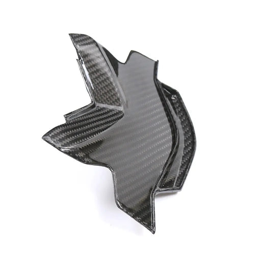 Kawasaki ZX10R 2021-2025 (Tail Center Seat Cover) Dry Carbon by CARBONISE
